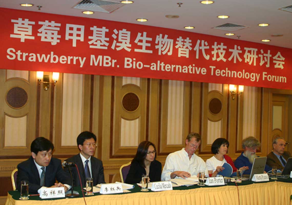 聯(lián)合國環(huán)境署、聯(lián)合國工發(fā)組織等機構出席了我公司舉行的草莓甲基溴生物替代技術研討會